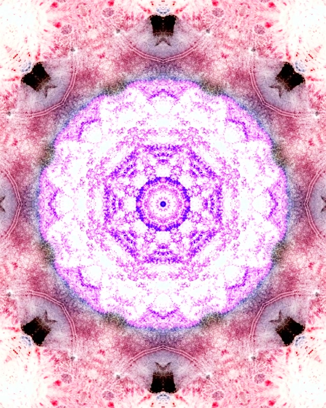 Pienk Pers Neon Tonnel Mandala Skermbeskermer 60fps 4:5 Instagram VJ Loop