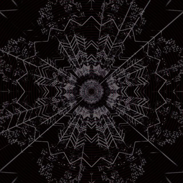 فراكتال مظلم كاليدوسكوب نفق نيون VJ Loop 1:1 مربع 60fps حافظة شاشة