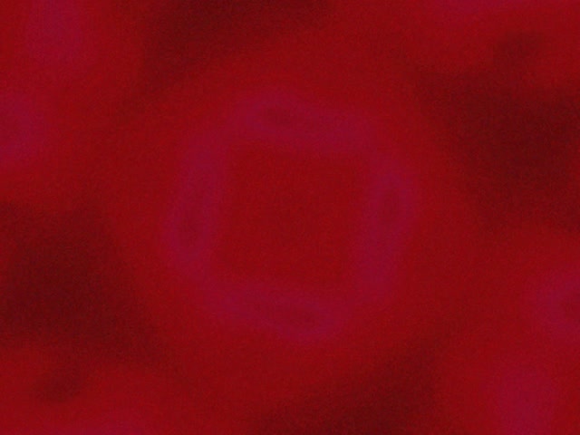 Túnel de Neó Porpra Quadrat Vòrtex Bucle VJ 4:3 Clàssic 60fps Protector de Pantalla