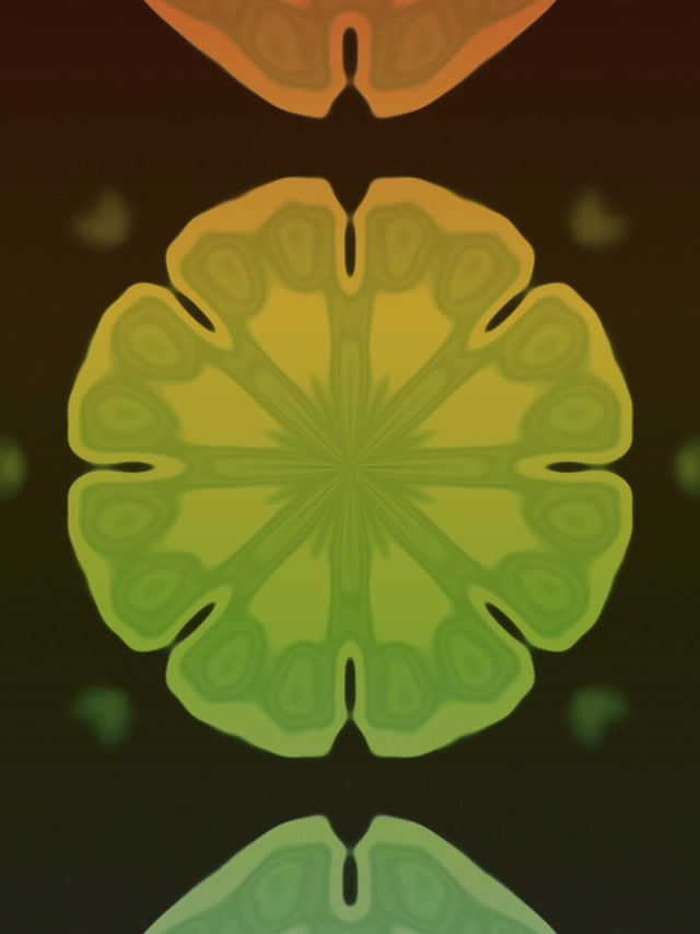 Túnel Neó Fractal Calidoscopi Esclat 3:4 iPad Retrat 60fps Estalviapantalles Vj Loop