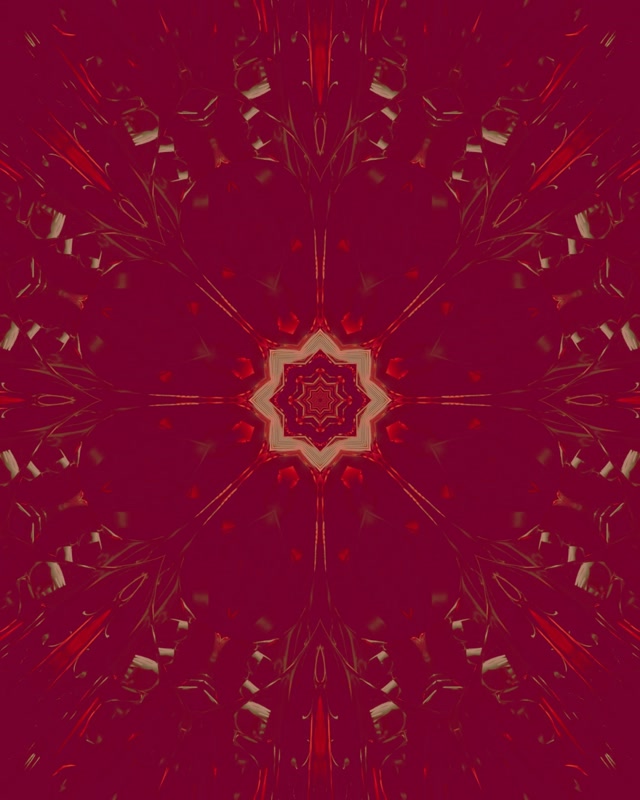 Neonový Tunel Fraktálová Hvězda Kaleidoskop 60fps 4:5 Instagram Spořič Obrazovky VJLoops