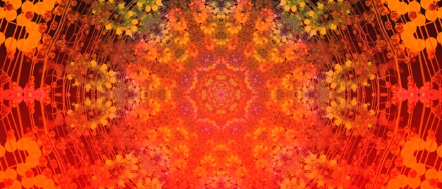 Neon Tunnel Blomster Kaleidoskop VJLoops 21:9 Ultrawide 60fps Pauseskærm