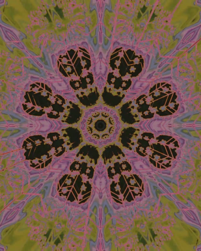 Neon Tunnel Kaleidoscope Floral Burst VJ Loop 4:5 Instagram 60fps Screensaver