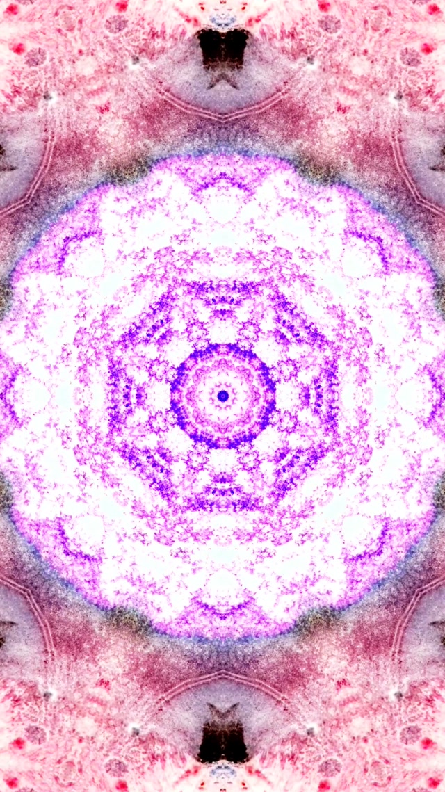 Túnel de Neón Rosa Púrpura Mandala Salvapantallas 60fps 9:16 Reels VJ Loop