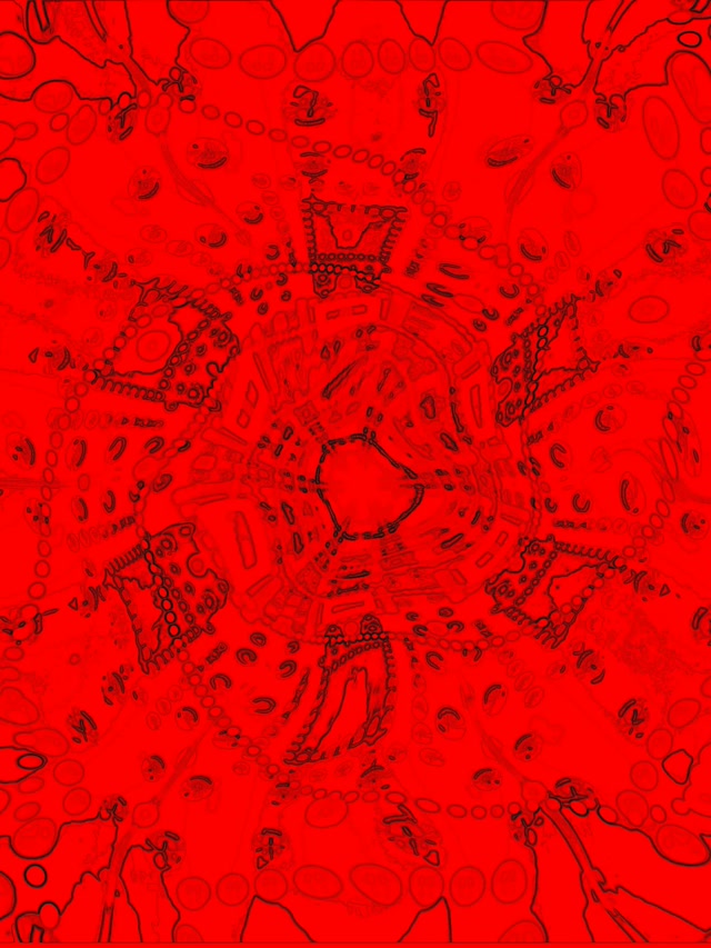 Gorri Fraktal Mandala Neon Tunel VJ Loop 3:4 iPad Portrait 60fps Pantaila-babeslea