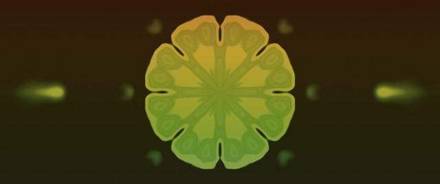 Tunnel Néon Floraison Mandala Fractal VJLoops 2.39:1 Cinemascope 60fps Économiseur d'écran