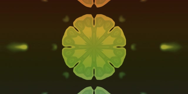 Tunnel Néon Floraison Mandala Fractal VJLoops 2:1 Univisium 60fps Économiseur d'écran