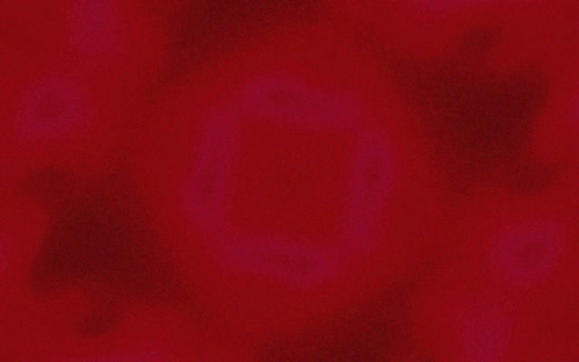 Tunnel Néon Violet Carré Vortex Vj Loop 16:10 MacBook 60fps Économiseur d'écran