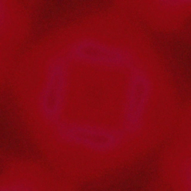 Tunnel Néon Violet Carré Tourbillonnant Vortex VJ Loop 1:1 Carré 60fps Économiseur d'écran