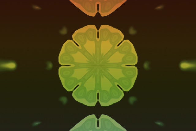 Tollan Neon Faoi Bhláth Mandala Fractálach 3:2 Surface 60fps Spárálaí Scáileáin VJLoops