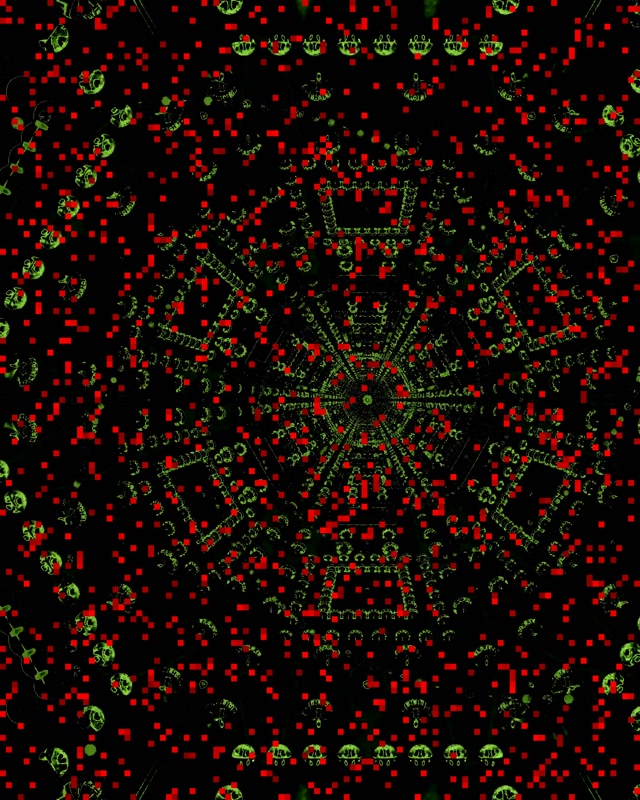 Neon Tunel Crvena Šesterokutna Mreža Vj Loop 4:5 Instagram 60fps Čuvar Ekrana