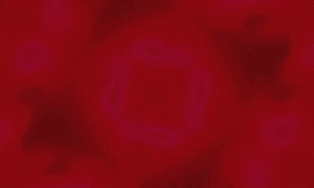 Terowongan Neon Ungu Persegi Vortex VJLoops 5:3 Lebar 60fps Screensaver