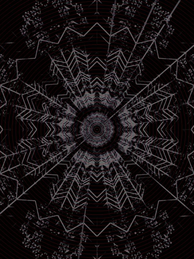 Mandala Fraktal Gelap Terowongan Neon Screensaver 3:4 iPad Portrait 60fps VJ Loop