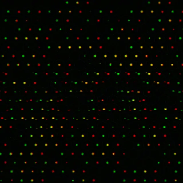 1:1 Square | 60fps Screensaver - Animated Particle Rain LED Motion Background