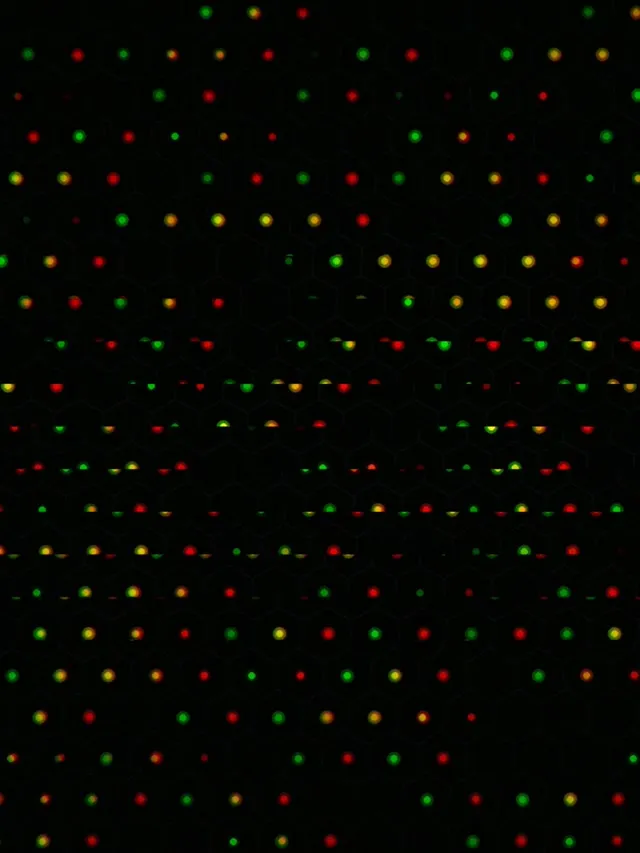 3:4 iPad Portrait | 60fps Screensaver - Colorful Particle Rain LED Live Wallpaper