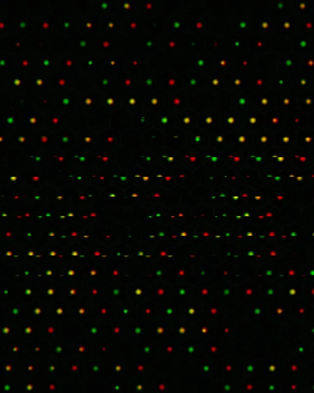 4:5 Instagram | 60fps Screensaver - Animated Particle Rain LED Live Wallpaper