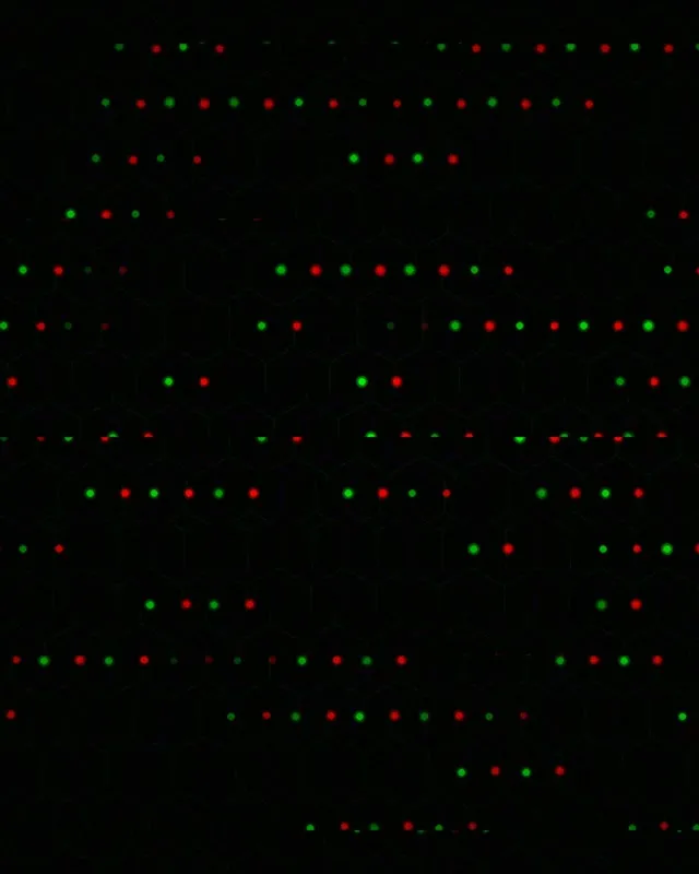 4:5 Instagram | Abstract Green Red 60fps Live Wallpaper Lights