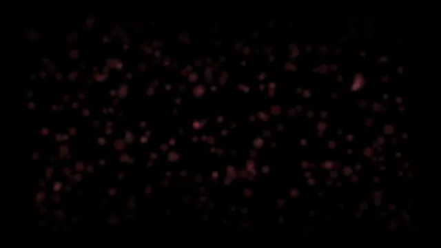 4K elegant rose gold particle dispersion motion background