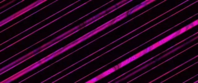 neon tunnel 2.39:1 cinemascope 60fps screensaver vj loop pink magenta geometric symmetry