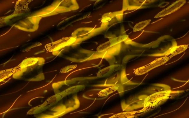 neon tunnel 16:10 macbook 60fps screensaver yellow spiral live wallpaper