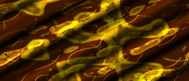 neon tunnel 21:9 ultrawide 60fps screensaver yellow spiral motion background