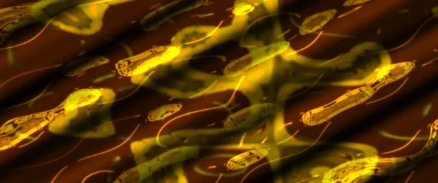 neon tunnel 2.39:1 cinemascope 60fps screensaver yellow spiral vj loop