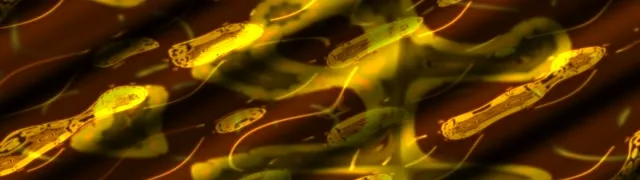 neon tunnel 32:9 super ultrawide 60fps screensaver yellow vortex motion