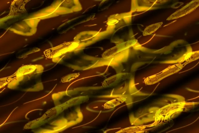 neon tunnel 3:2 surface 60fps screensaver gold swirling motion background