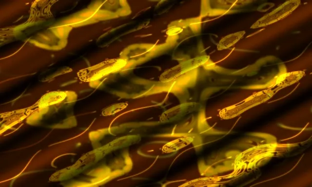 neon tunnel 5:3 wide 60fps screensaver golden swirl live wallpaper