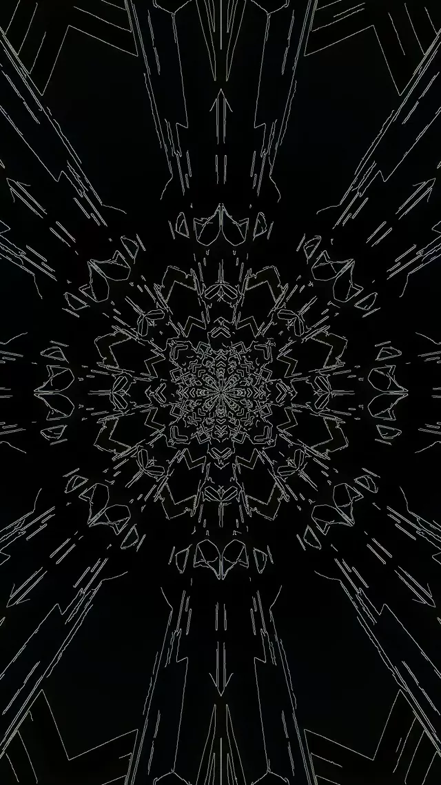 Black Neon Tunnel Mandala Screensaver 60fps 9:16 Reels VJ Loop PC