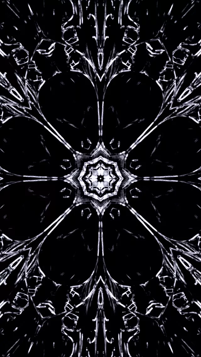 შავ-თეთრი ნეონის გვირაბი კალეიდოსკოპი Screensaver 60fps 9:16 Reels VJLoops