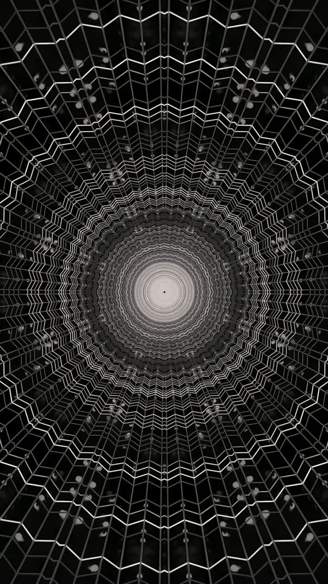 Neon Tunnel Spinnenweb Vortex 9:16 Reels 60fps Schermbeveiliging Vj Loop