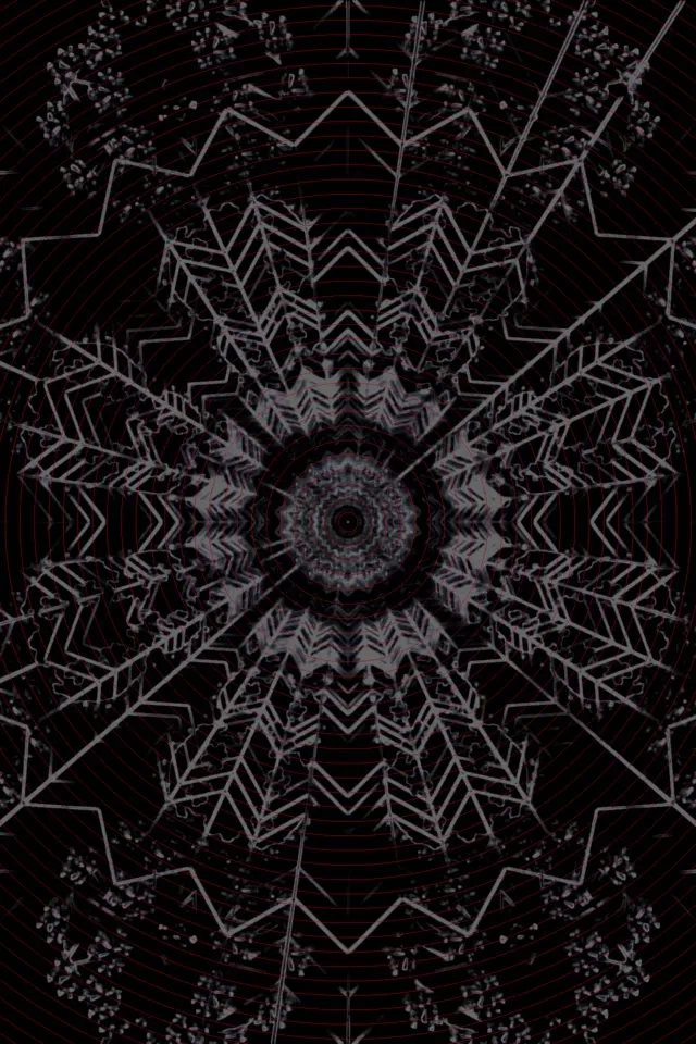 Темная Фрактальная Мандала Неоновый Туннель 2:3 Фото Портрет 60fps Заставка VJLoops