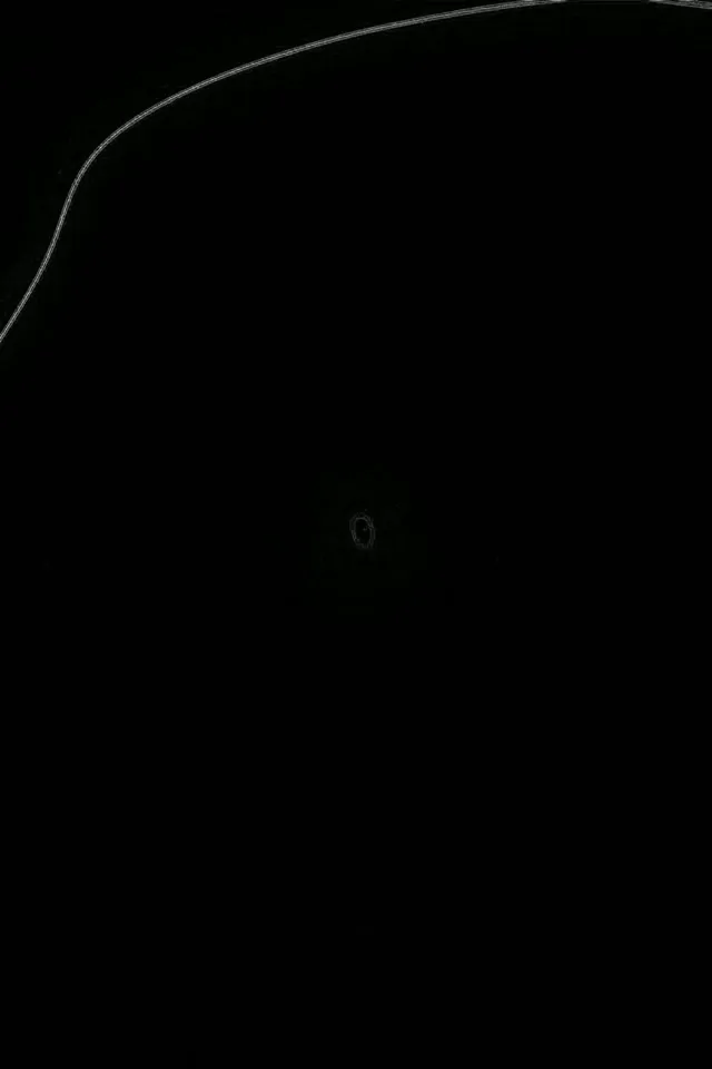 Neon Tunnel 2:3 Portrait 60fps Screensaver VJ Loop Organic Blob Curves