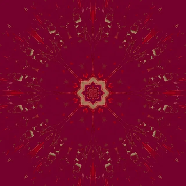 Neontunnel Kaleidoskop Stjärn Explosion Lila Röd VjLoops 1:1 Kvadrat 60fps Skärmsläckare