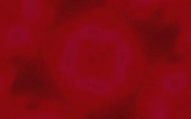 नियॉन टनल बैंगनी स्क्वायर भंवर Vj Loop 16:10 मैकबुक 60fps स्क्रीनसेवर