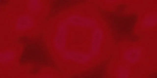 Neon-tunneli Violetti Neliö Pyörre Vj Loop 2:1 Univisium 60fps Näytönsäästäjä