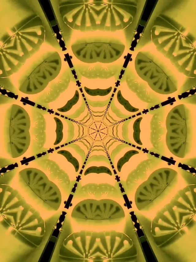 Neon Tunela Armiarma Sare Kaleidoskopioa VJ Loop 3:4 iPad Bertikala 60fps Pantaila-babeslea
