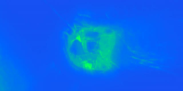 تونل نئون سبز VJLoops 2:1 Univisium 60fps صفحه نگهدار پس زمینه حرکتی