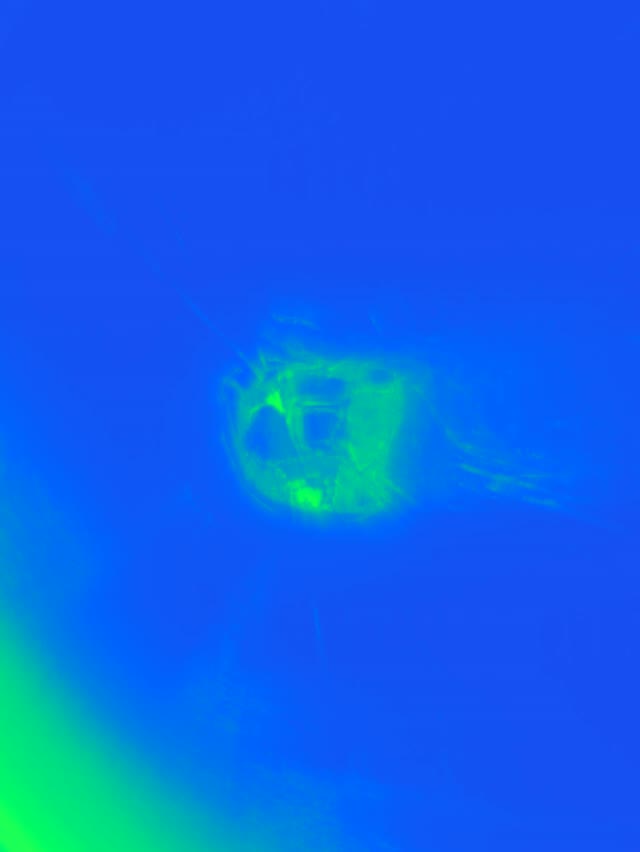 تونل نئون سبز VJLoops 3:4 iPad Portrait 60fps صفحه حفاظ