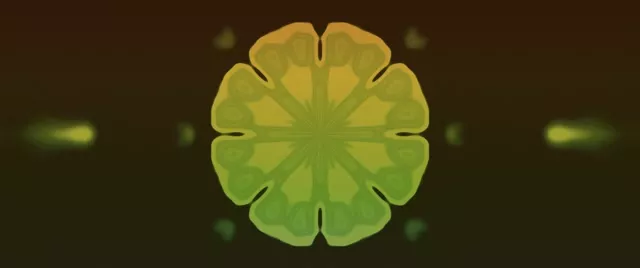 霓虹隧道碎形曼陀羅綻放 VJ Loop 2.39:1 Cinemascope 60fps 螢幕保護程式