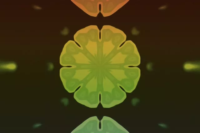 Túnel de Neó Floració de Mandala Fractal 3:2 Surface 60fps Protector de Pantalla VJ Loop