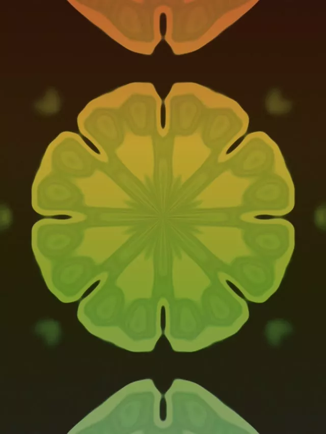 ネオントンネル フラクタル カレイドスコープ バースト 3:4 iPad ポートレート 60fps スクリーンセーバー VJ Loop