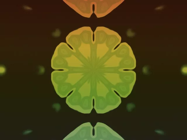 जीवंत नीऑन सुरंग चूने के हरे और सोने के पीले मंडल फ्रैक्टल के साथ जो केंद्र से विकीर्ण होते हैं, इस VJ लूप में सममित 3D भंवर प्रभाव बनाते हैं।