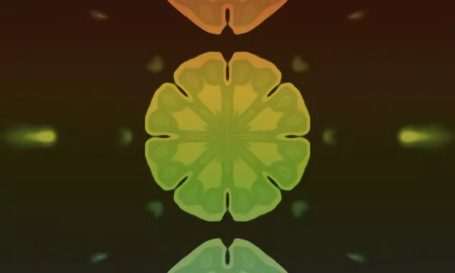 نفق نيون انفجار ماندالا فراكتال 5:3 Wide 60fps حافظة شاشة VJ Loop