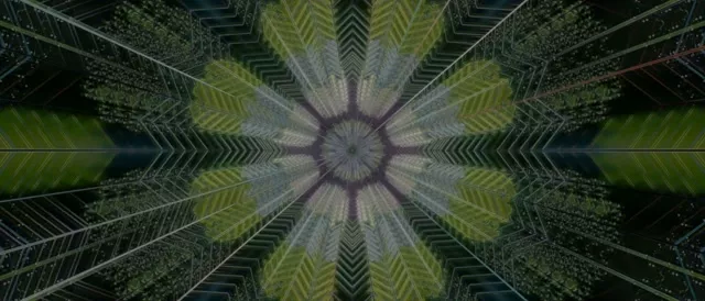 Neon-Tunnel Kaleidoskop Burst | 21:9 Ultrawide | 60fps VJLoops Screensaver