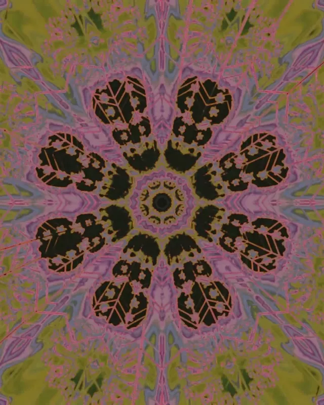 Terowong Neon Ledakan Bunga Kaleidoskop VJ Loop 4:5 Instagram 60fps Penapis