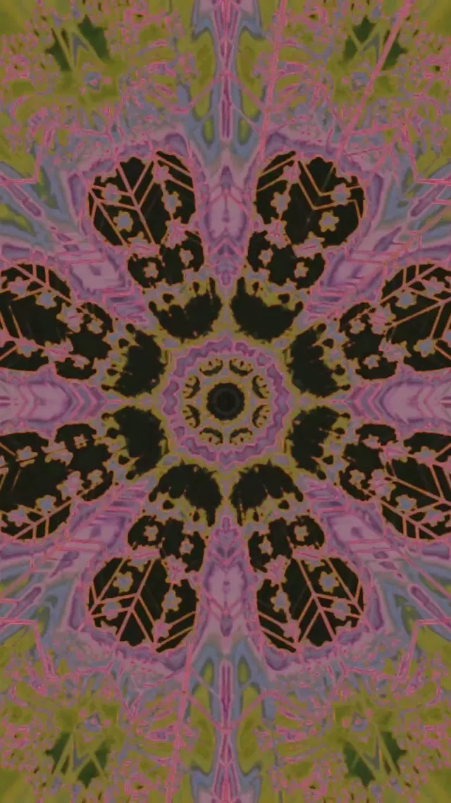Neon Tunnel Kaleidoscope Mandala VJLoops 9:16 Reels 60fps Screensaver