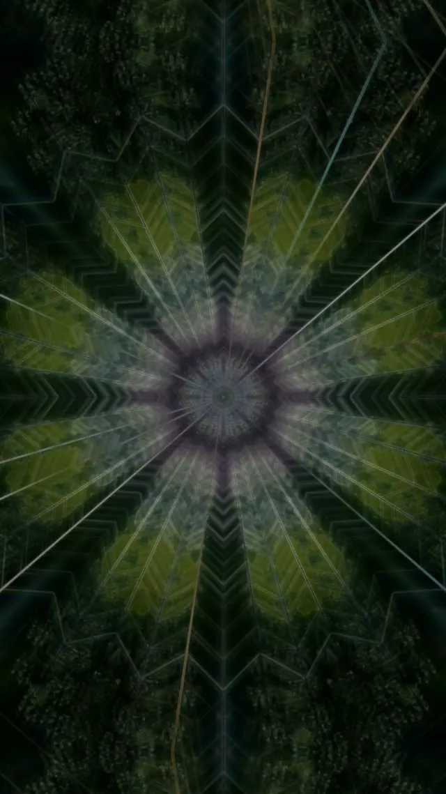 Neon Tunnel Kaleidoscope Vortex 9:16 Reels 60fps Screensaver