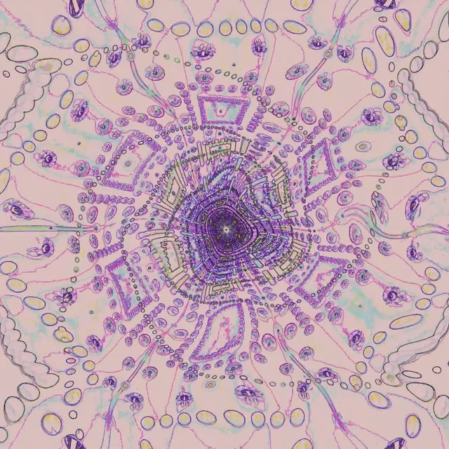 Neoon Tunnel Mandala Keeris VJLoops 1:1 Square 60fps Ekraanisäästja